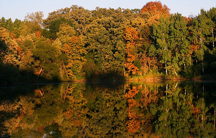 Fall colors and their reflection in a pond